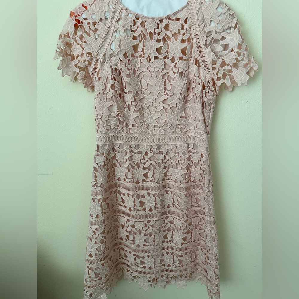 Eliza J Lace Sheath dress